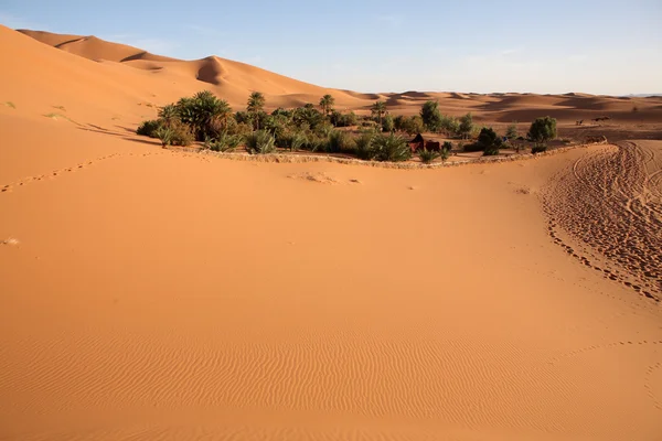 7 사막 — 스톡 사진