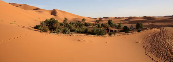 Пустыня 6 — стоковое фото