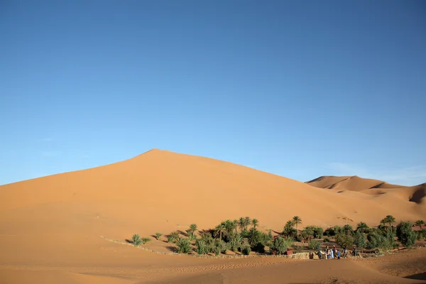 5 사막 — 스톡 사진