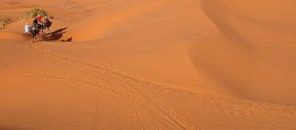Пустыня 4 — стоковое фото