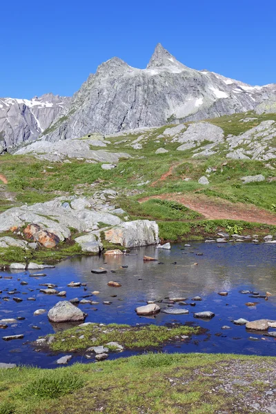 Альпийская вода — стоковое фото