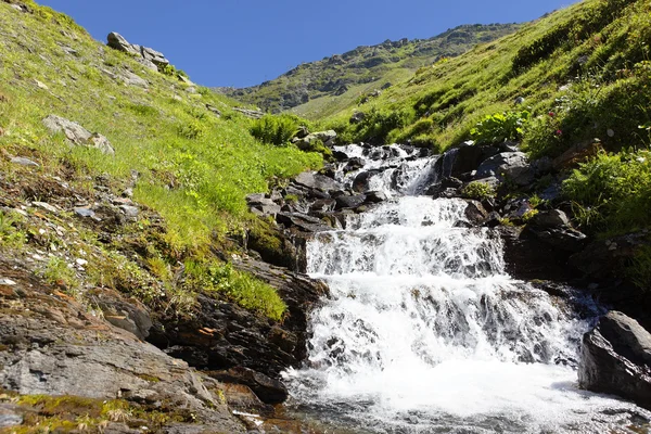 stock image Alpine torrent