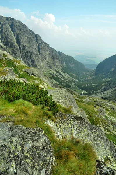 Altezza Tatra — Foto Stock