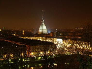 Turin view clipart