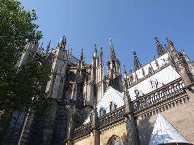 Köln dom