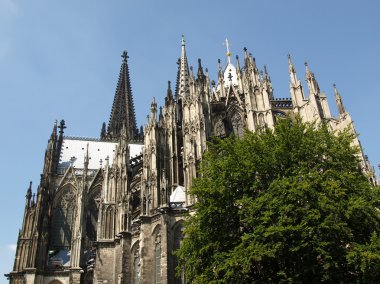 Köln dom