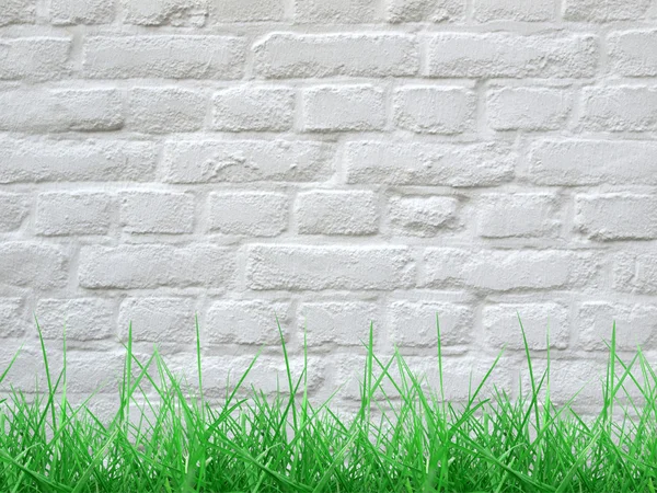 Gräs och vägg — Stockfoto