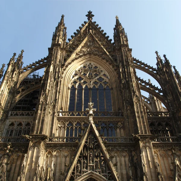 Köln dom — Stok fotoğraf