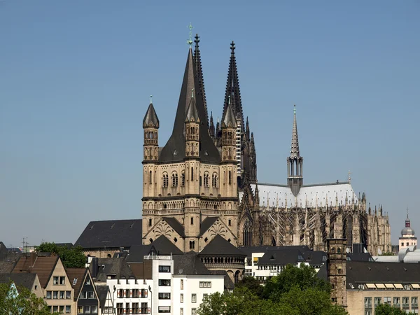 Köln dom — Stok fotoğraf