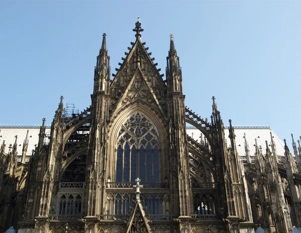 Köln Dom — Stockfoto