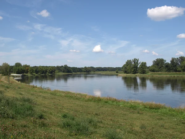River Elbe — Stok fotoğraf
