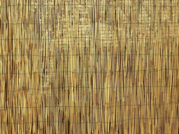 Бамбуковый фон — стоковое фото