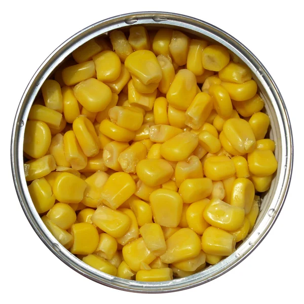Maize corn — Stock Photo, Image