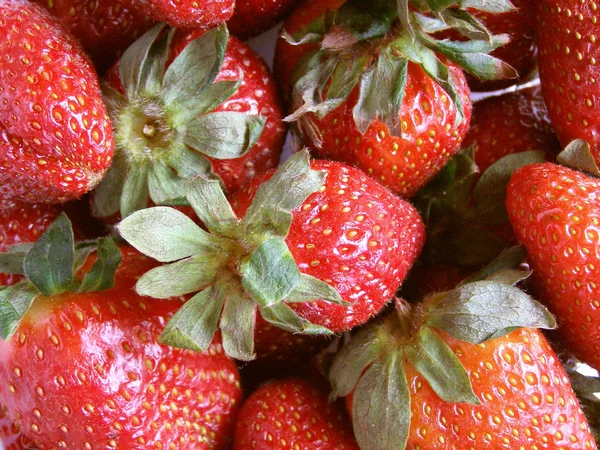 stock image Strawberry