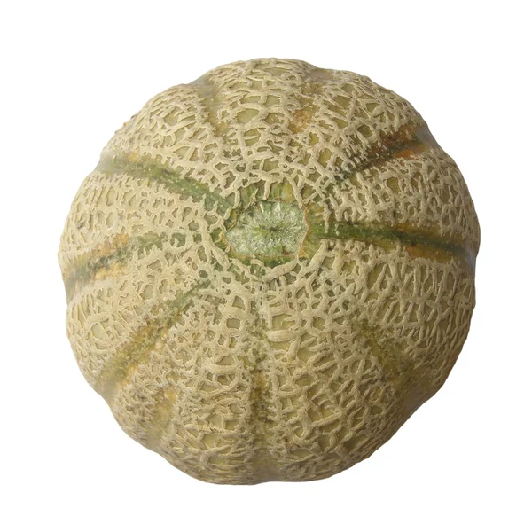 Melon — Stock Photo, Image