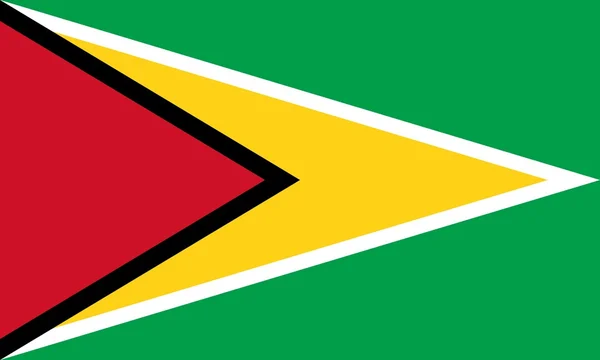 Den nationella flaggan Guyana — Stockfoto