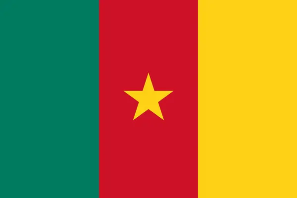 stock image The national flag of Cameroon