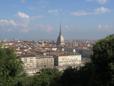 Turin view clipart