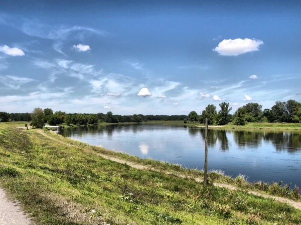 Elbe river — Stock Photo, Image