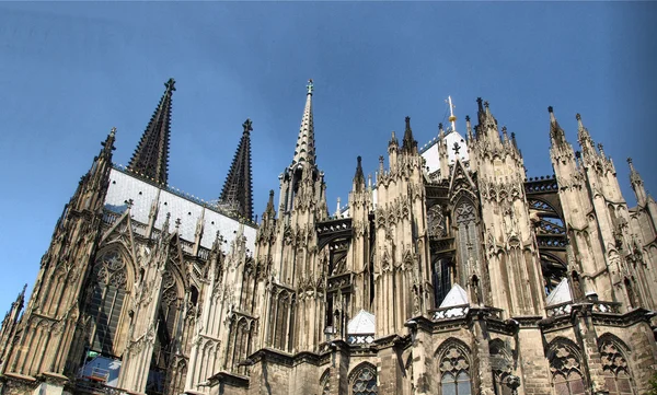 Katedral Koeln — Stok Foto