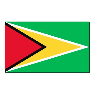 guyana bayrağı