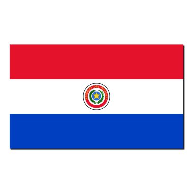 paraguay bayrağı