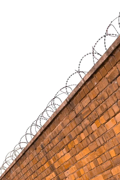 stock image Barbed wire.