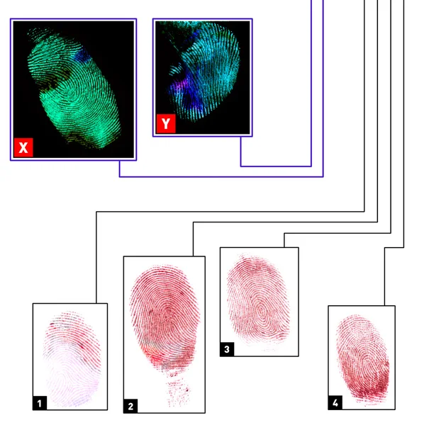 stock image Fingerprints comparison