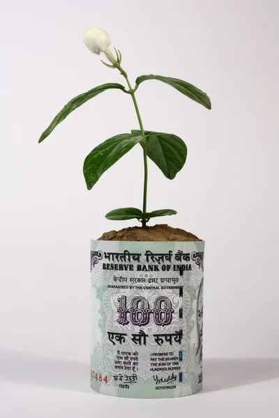 Money growth — Stock Photo, Image