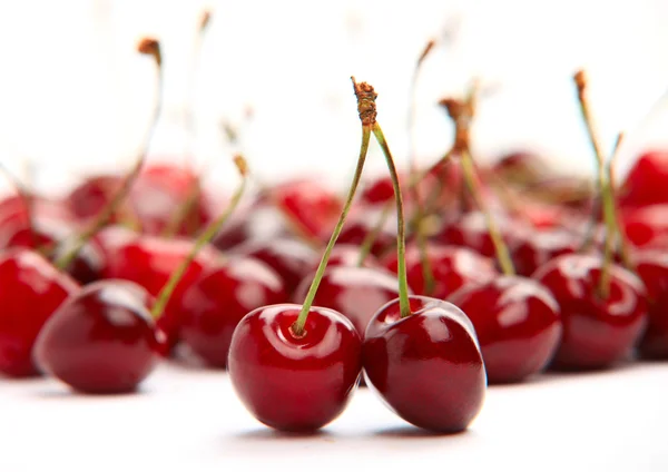 stock image Cherries on white background