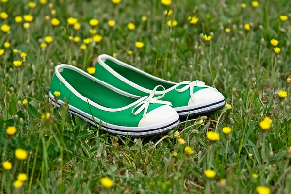 Scarpe estive su un'erba verde con denti di leone — Foto Stock