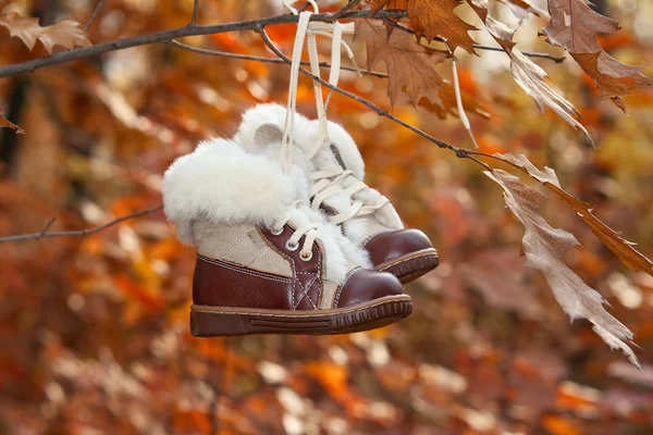 Children's warm boots on a tree in the autumn — Stock Photo, Image