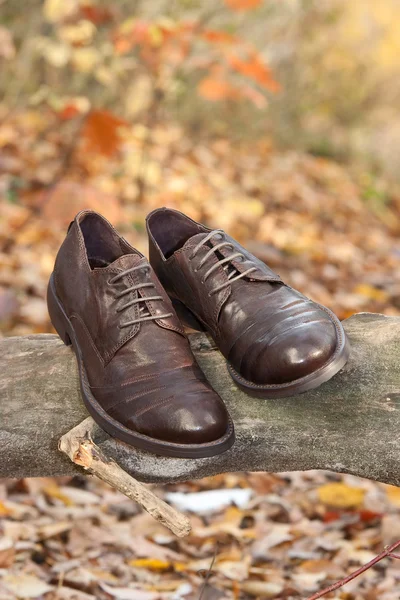 Man's brown boots in autumn park — Stock Photo, Image
