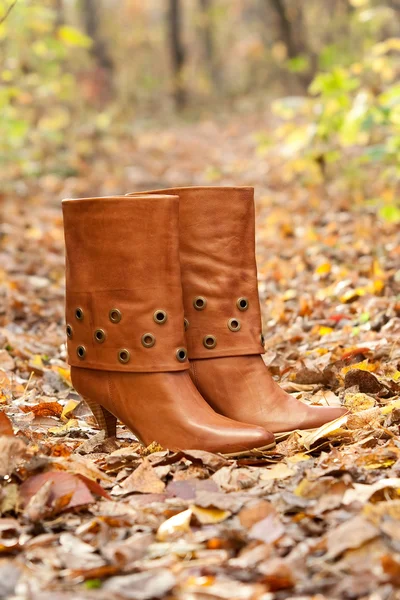 Female brown boots in autumn park — Stock Photo, Image