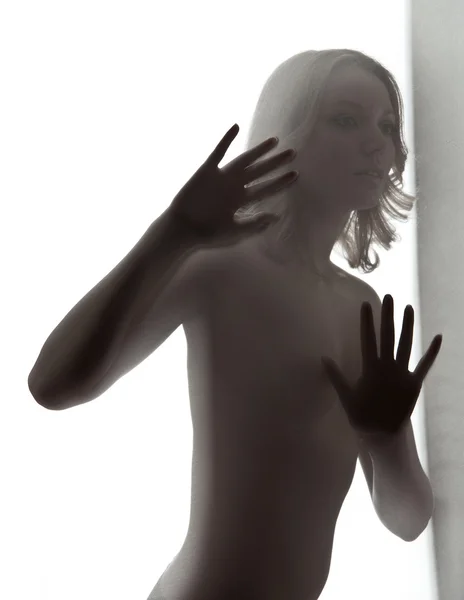 Περίγραμμα των σέξι κοπέλα πίσω από κλωστοϋφαντουργίας — Φωτογραφία Αρχείου