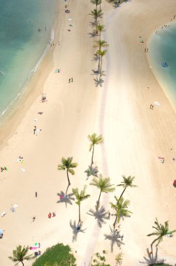 Hawaii's Waikiki Beach