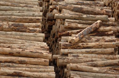 stacked  pile of logs clipart