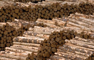 stacked  pile of logs clipart