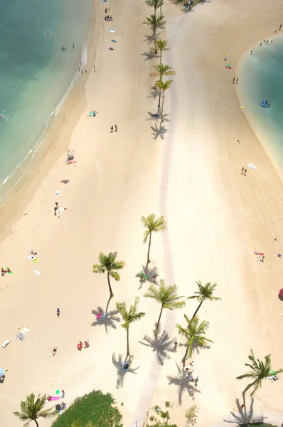 Spiaggia di Waikiki alle Hawaii — Foto Stock