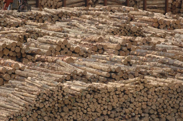 Pila apilada de troncos —  Fotos de Stock