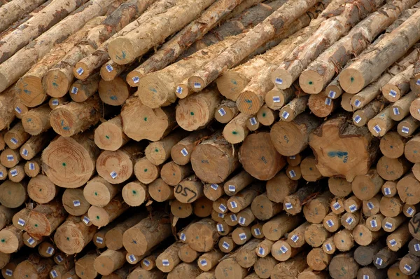 Stock image stacked  pile of logs