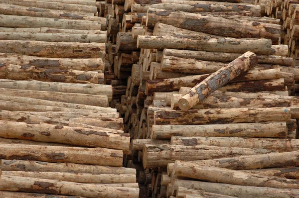 stock image stacked  pile of logs