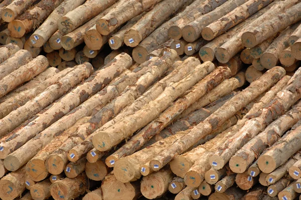 stock image stacked  pile of logs