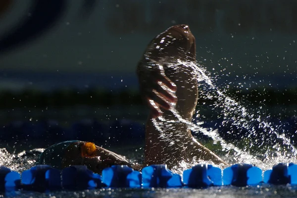 Nuotatore freestyle durante la gara Immagini Stock Royalty Free