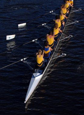 rowing crew in action. clipart