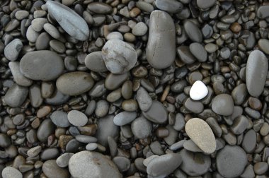 white stone on pebbles