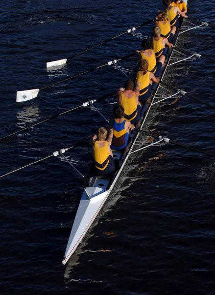 Rowing crew in action. — Stock Photo, Image