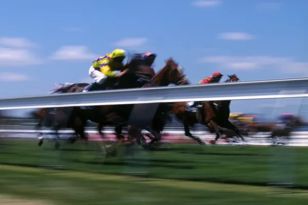 Spår häst racing — Stockfoto