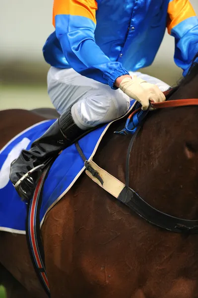 Jockey equitação cavalo . — Fotografia de Stock
