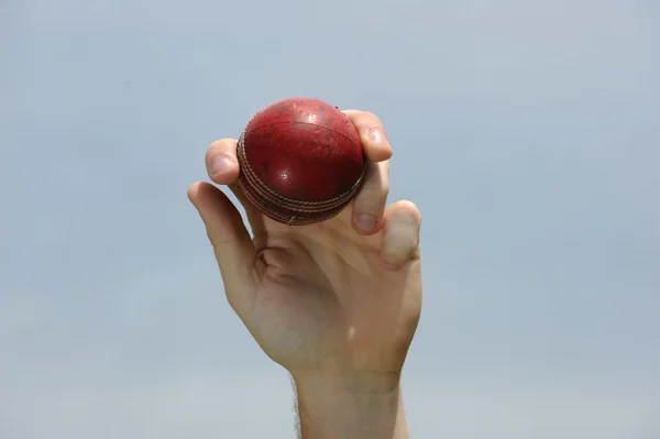Cricket ball in hand — Stock Photo, Image